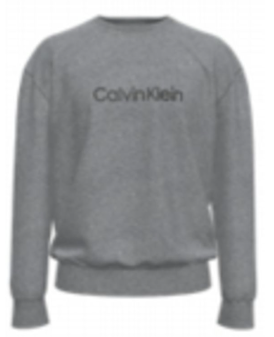 Calvin Klein L/S Relaxed Fit Logo Terry Crew 40CM270 Grey